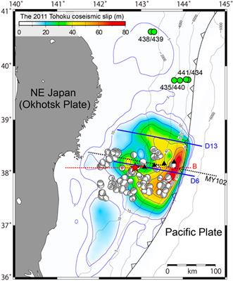 Seismic Reflection Images of Possible Mantle-Fluid Conduits and Basal Erosion in the 2011 Tohoku Earthquake Rupture Area